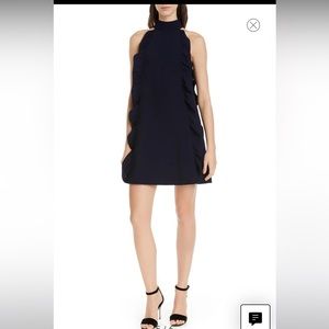 NWT Ted Baker Torriya Dress